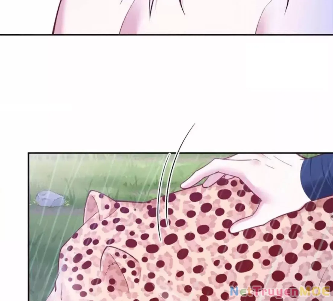 page_55