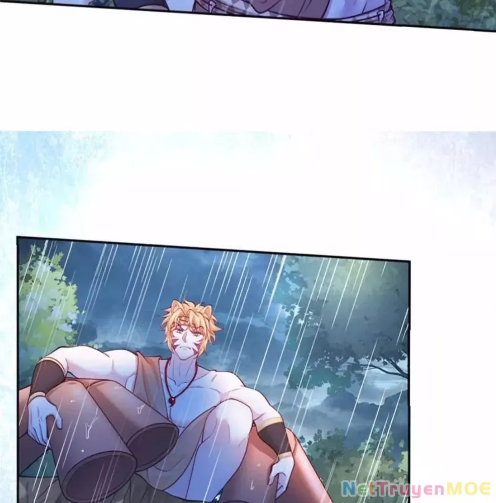 page_24