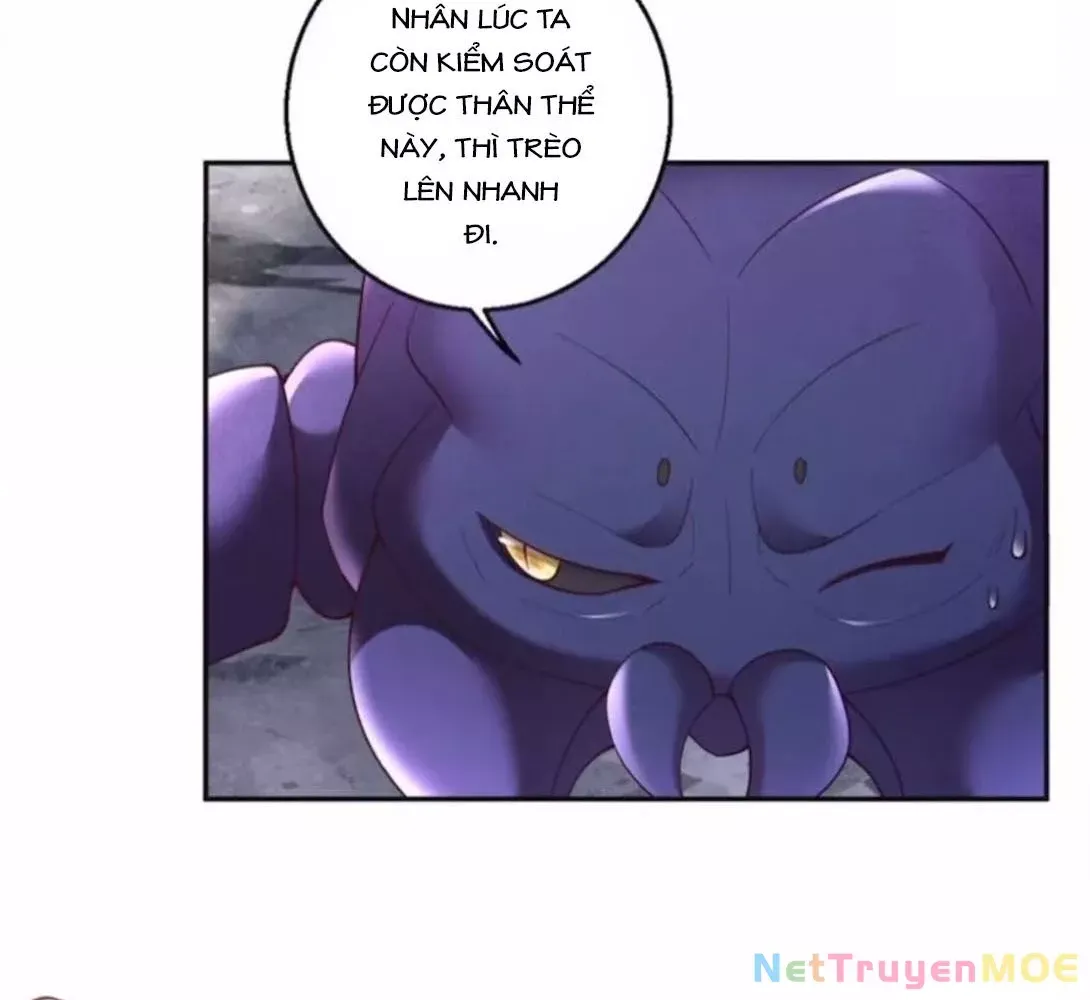 page_44