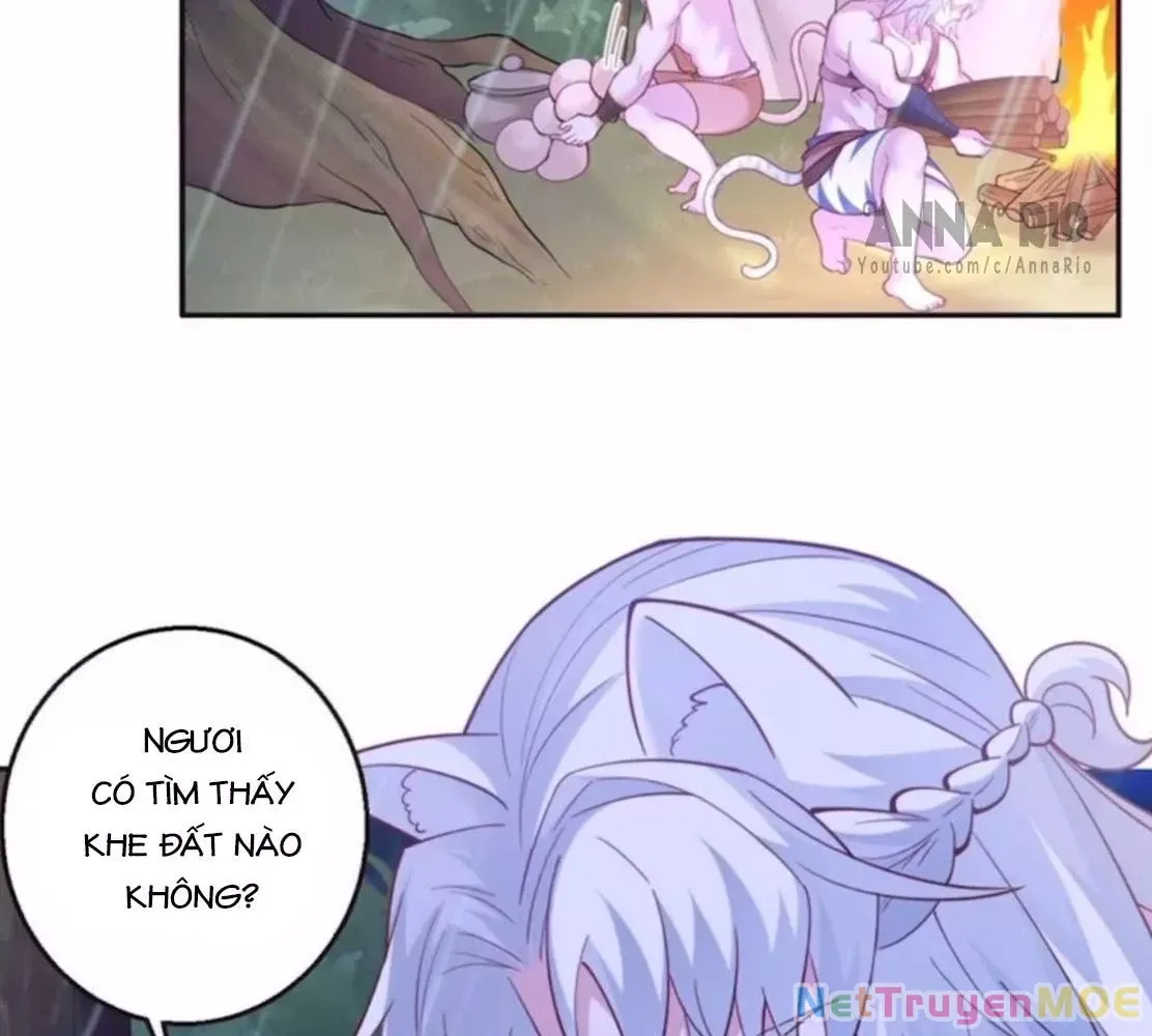 page_24