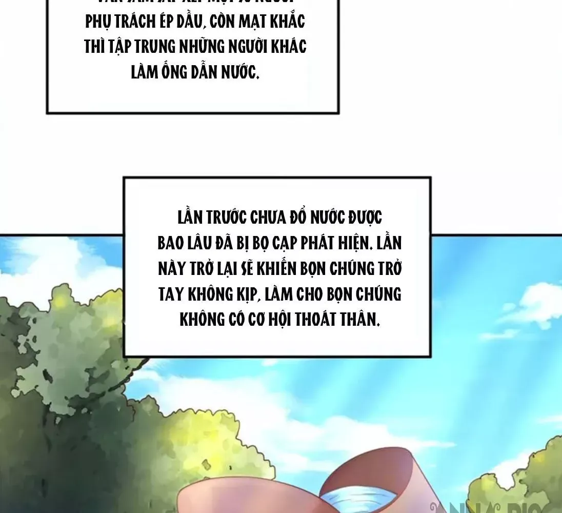 page_5