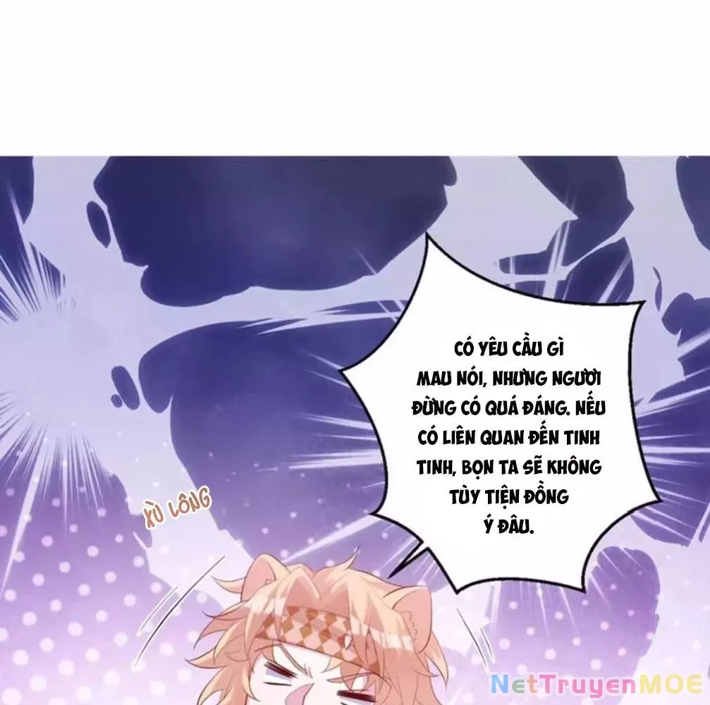 page_29