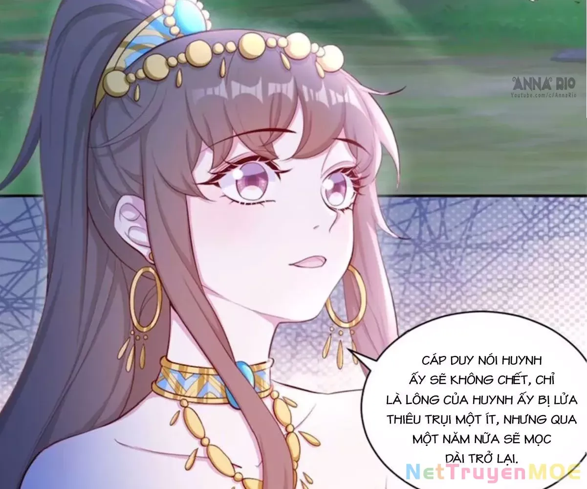 page_5