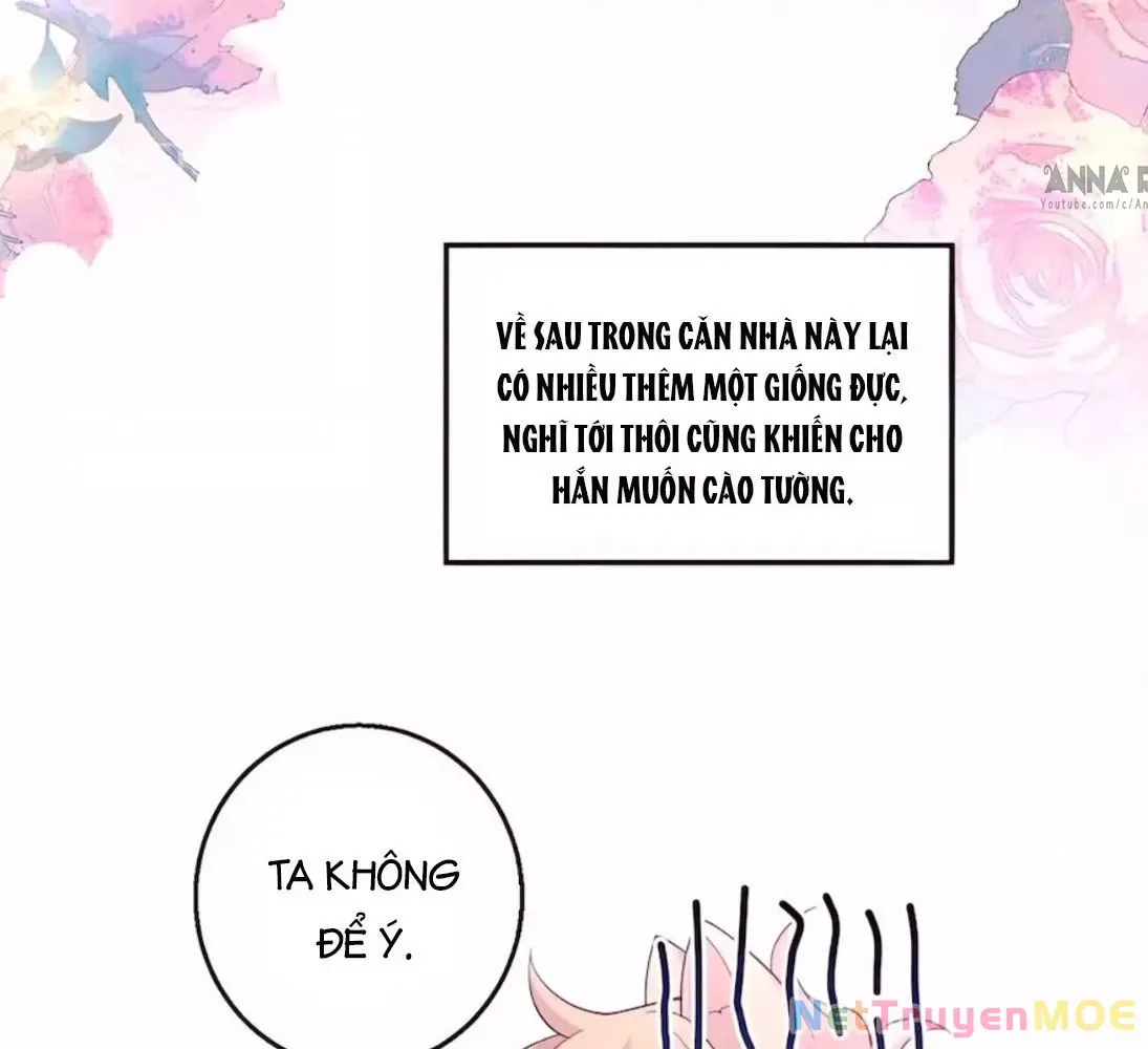 page_42