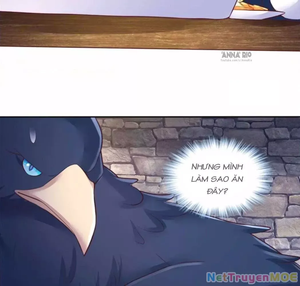 page_17