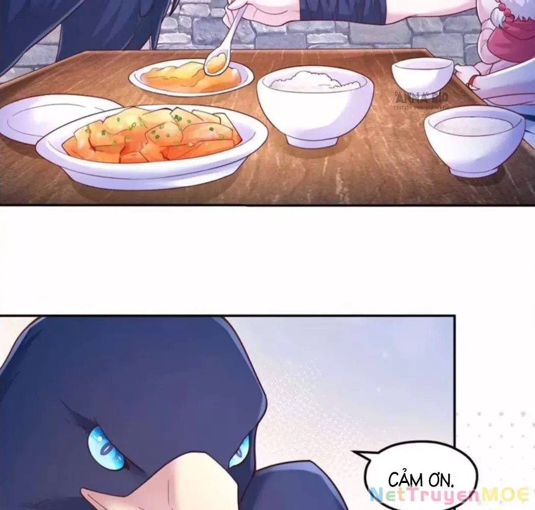 page_28