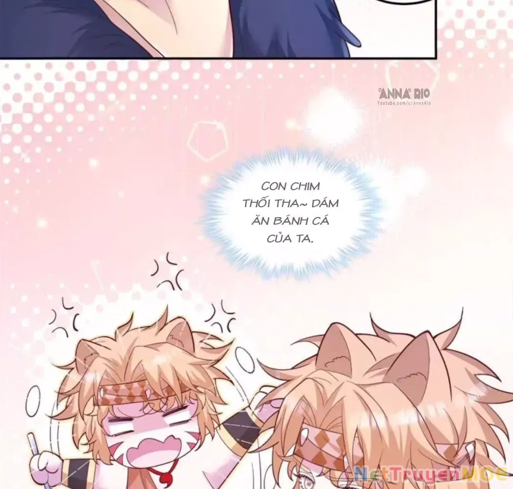page_29
