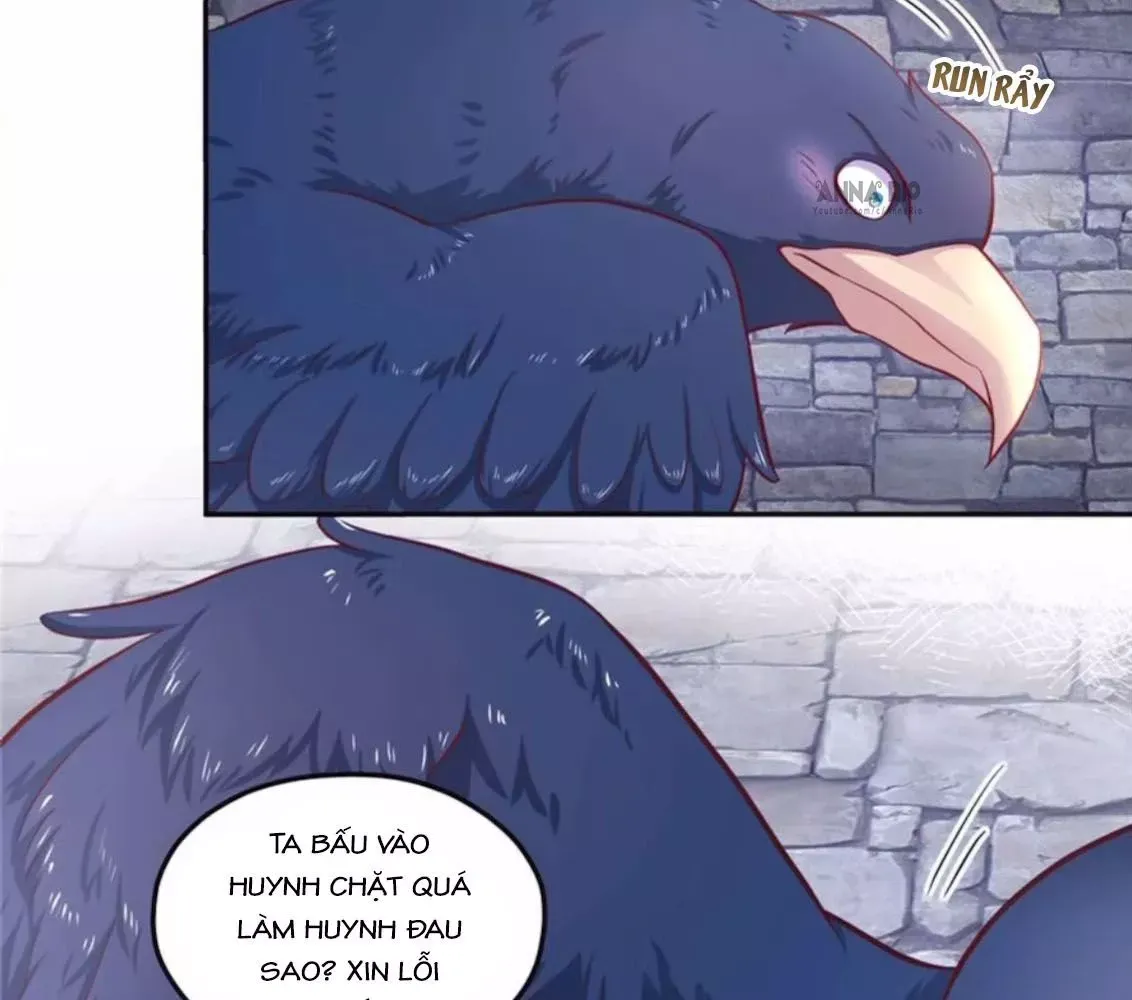 page_20