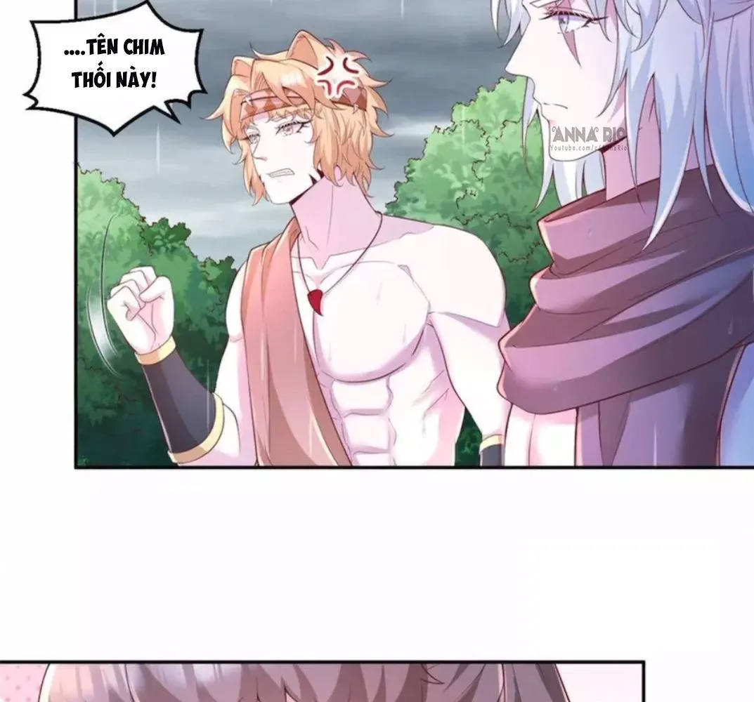 page_5