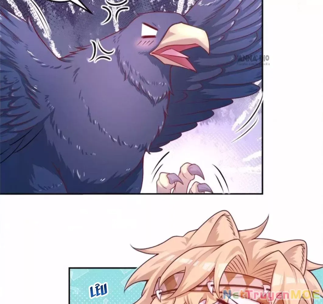 page_17