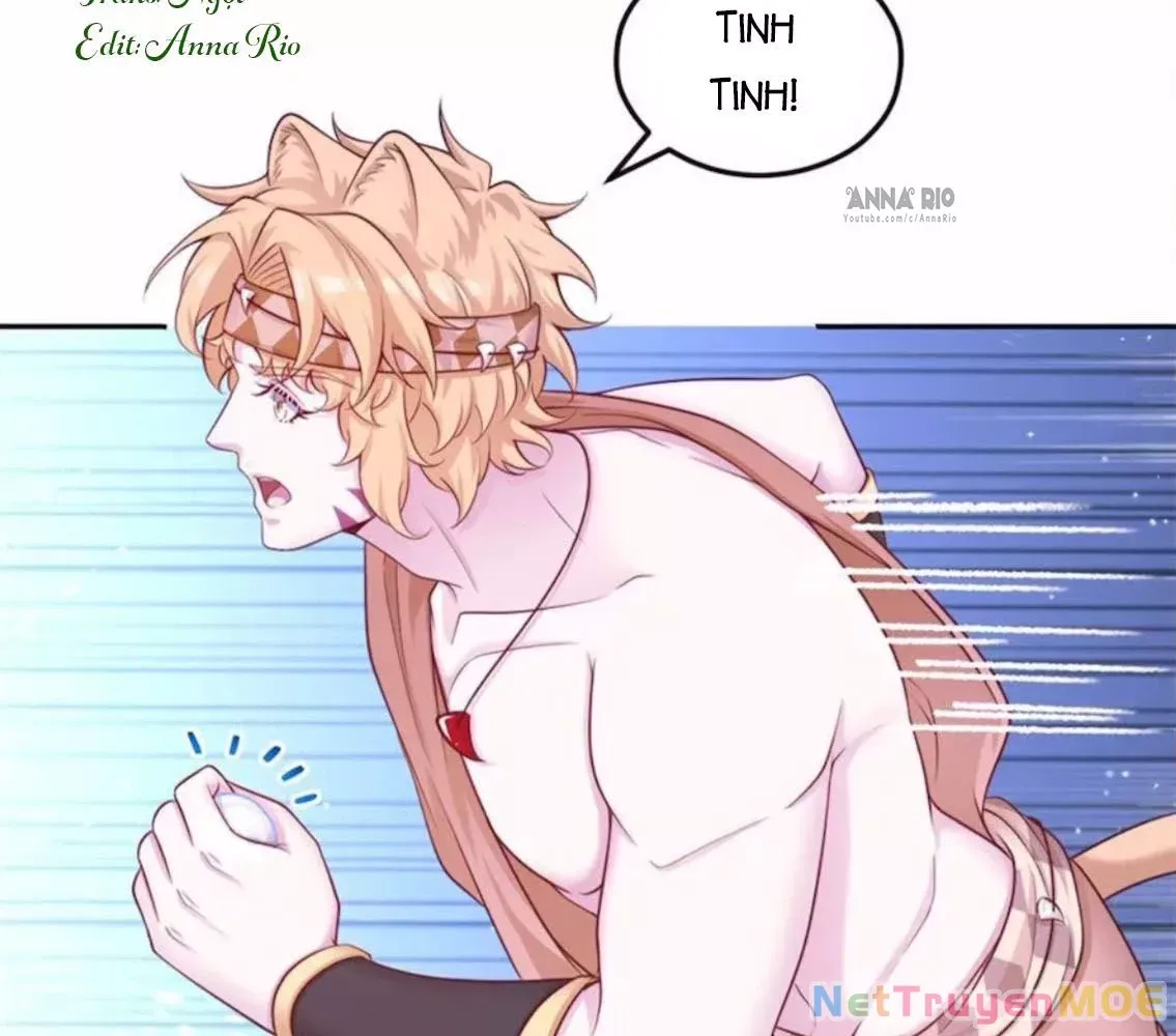 page_5