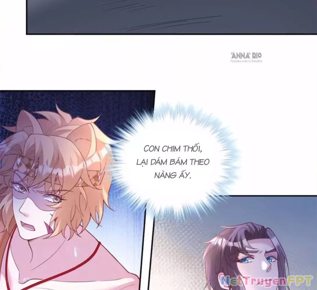 page_31