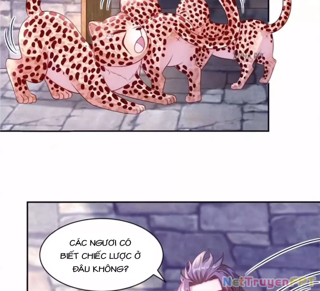 page_20