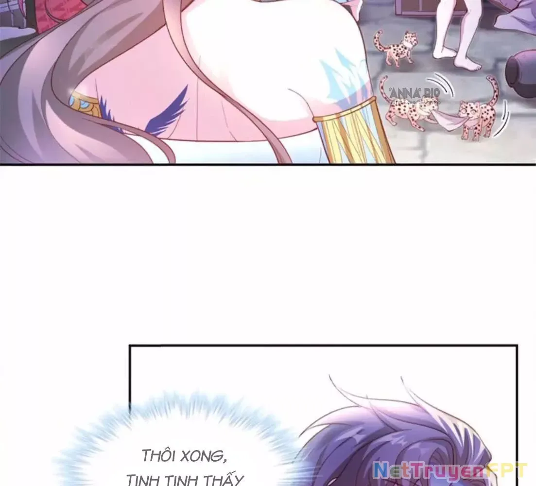 page_4