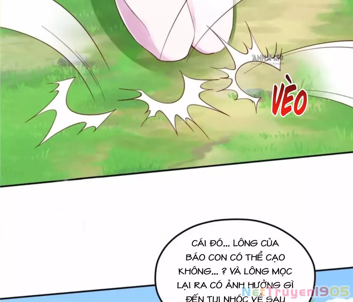 page_29