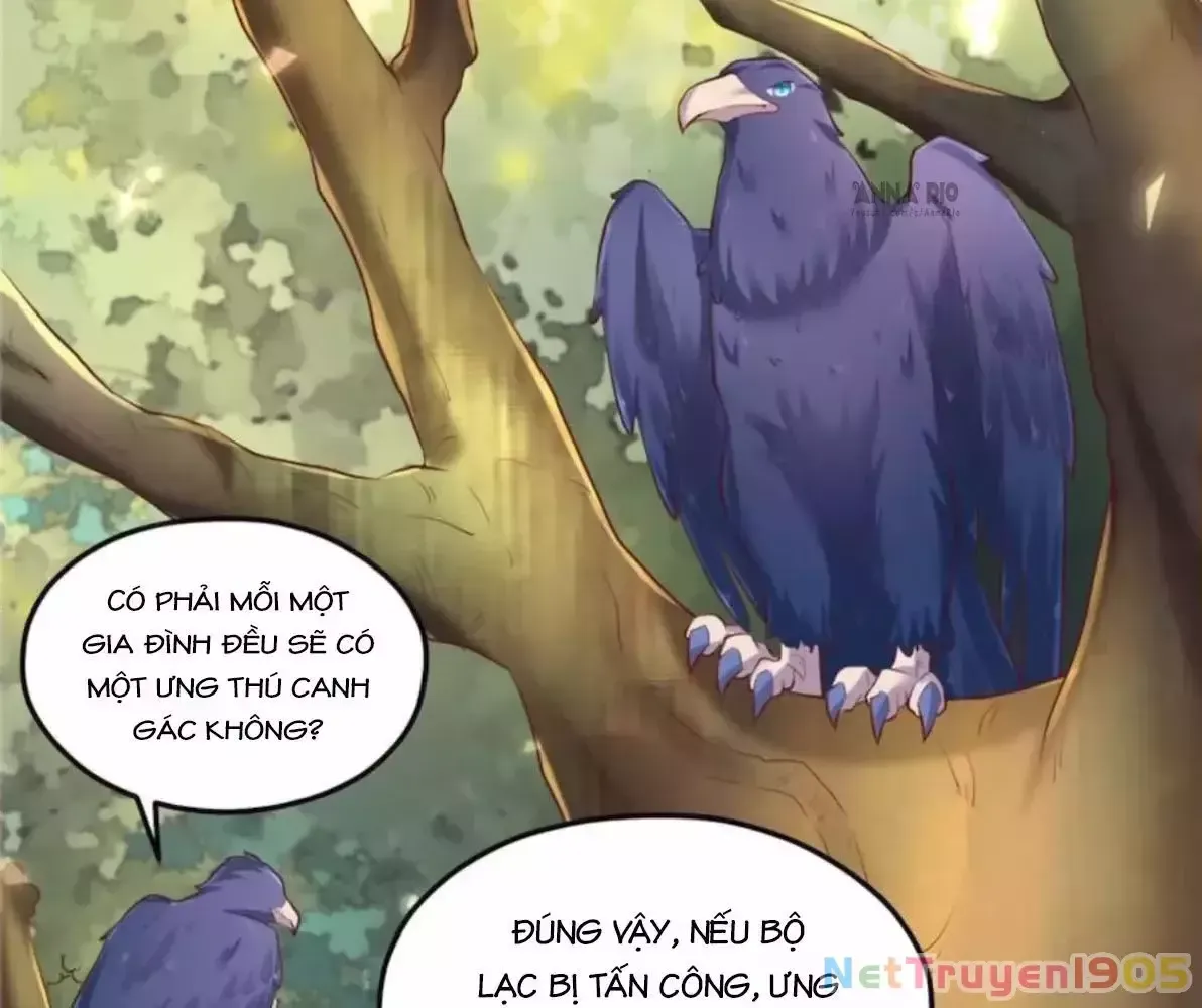 page_11