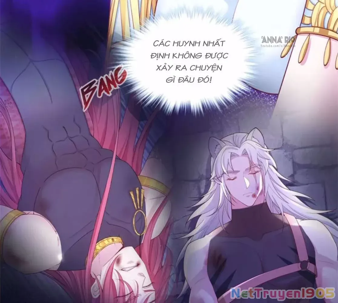 page_13