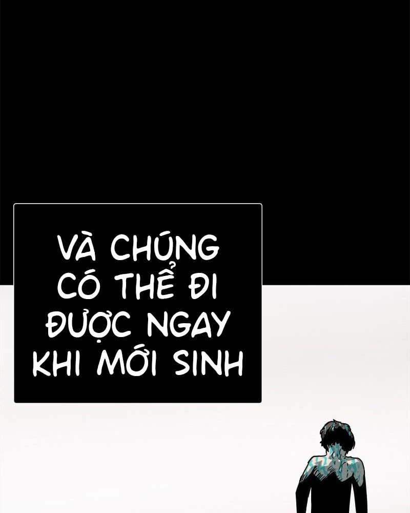 page_41