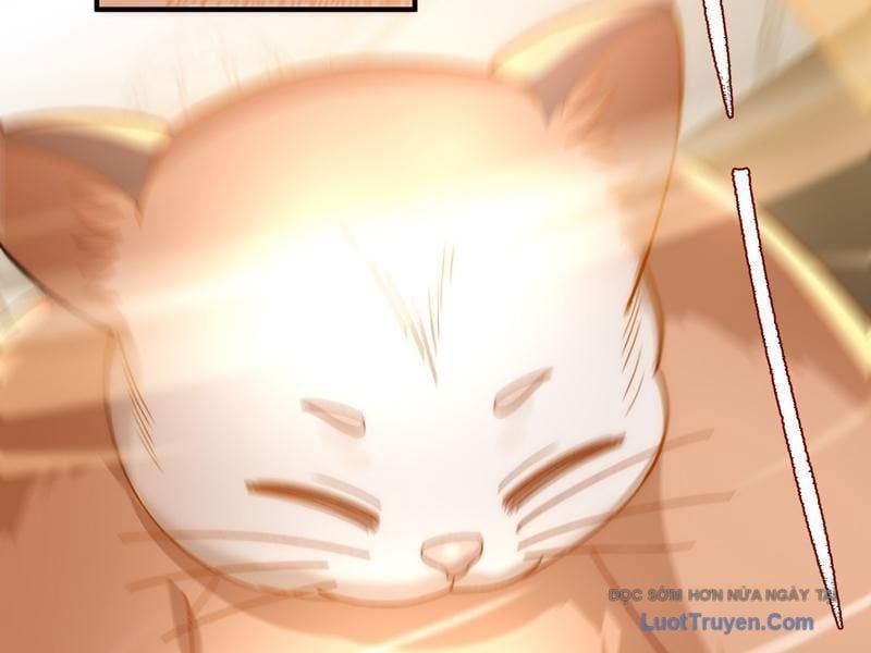 page_87