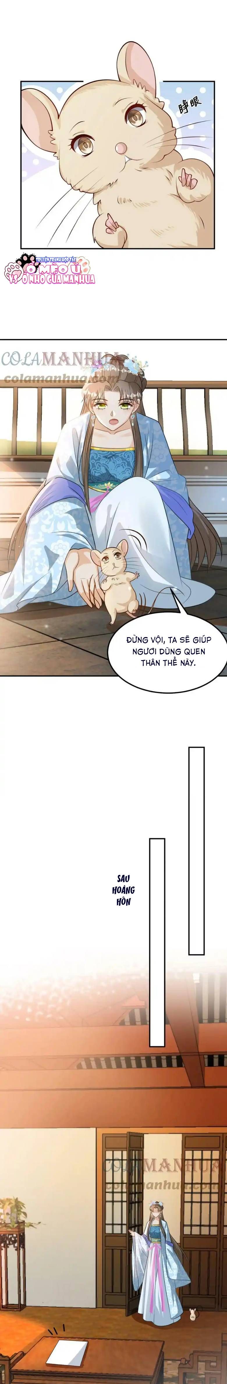 page_3