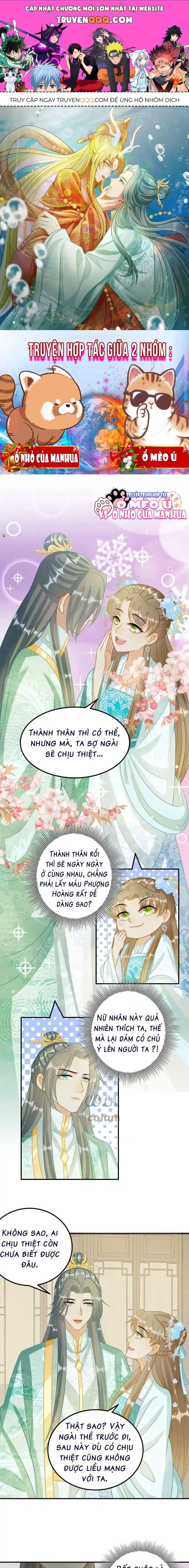 page_0