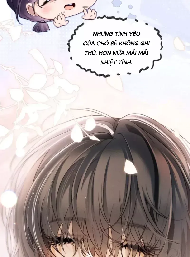 page_19