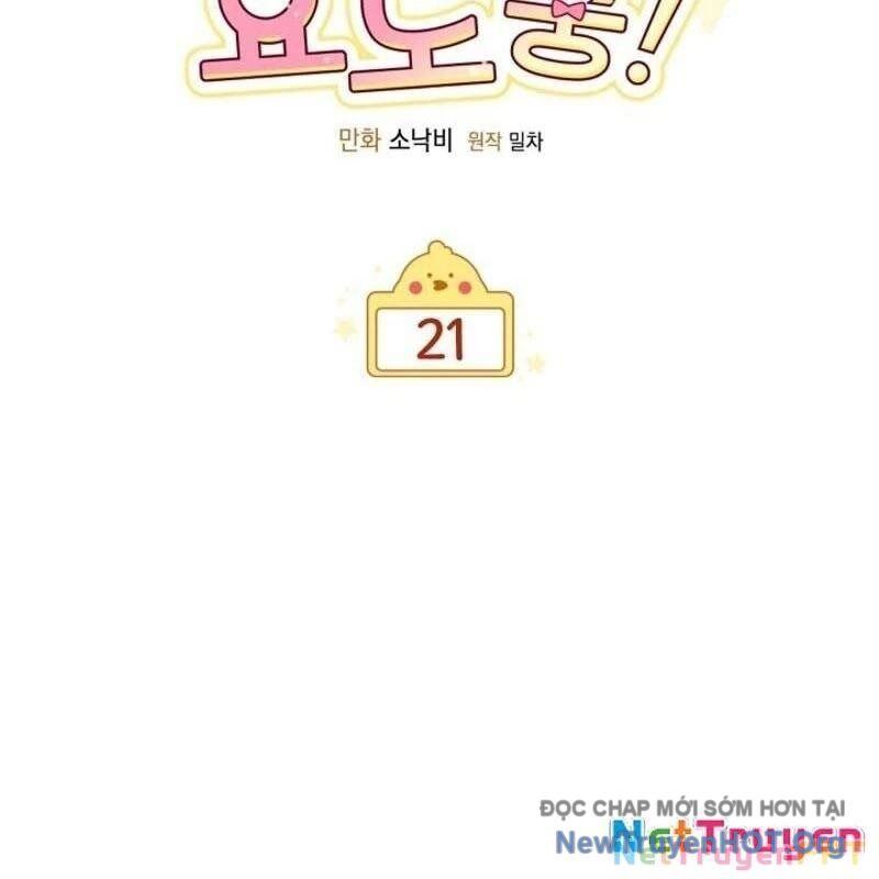 page_31