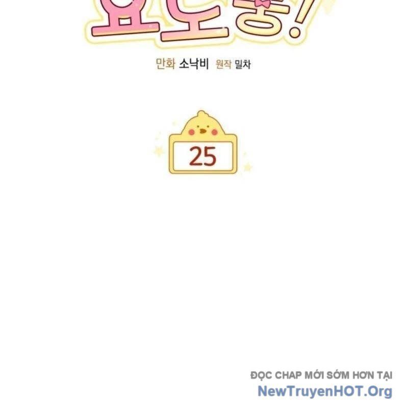 page_37