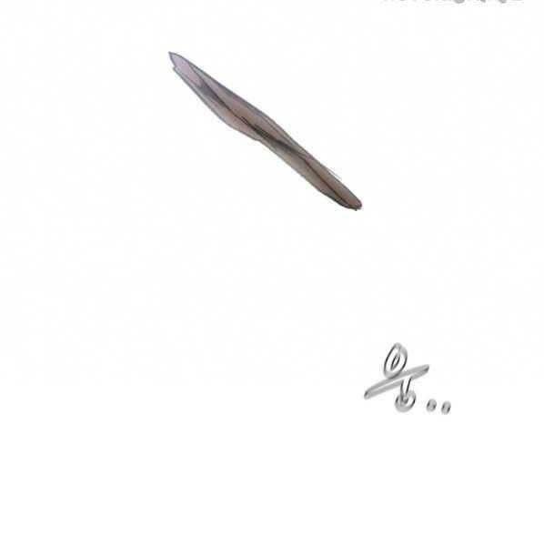 page_63