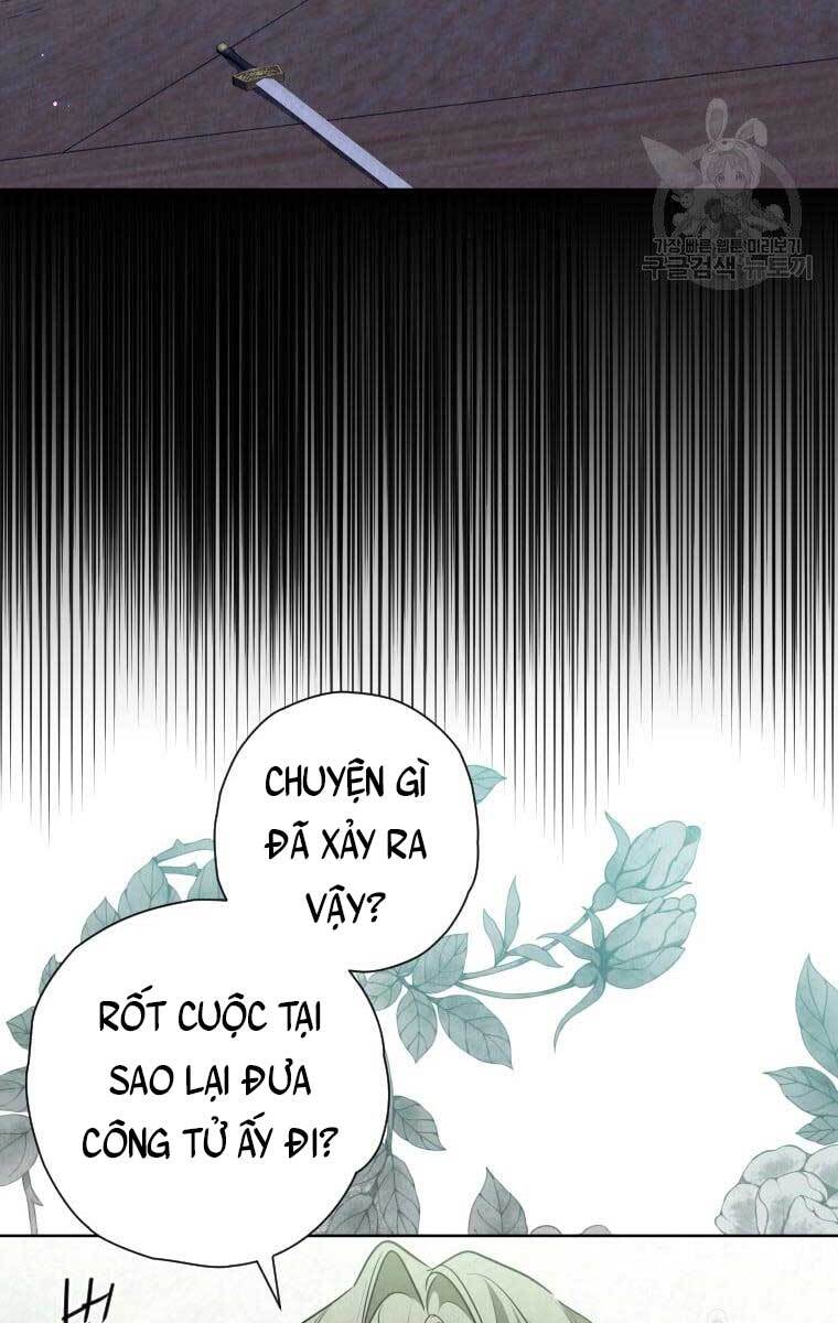 page_41