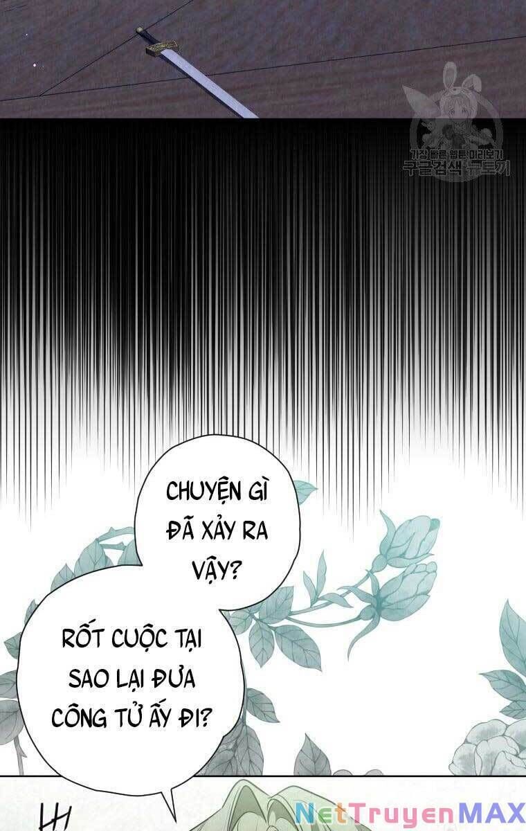 page_41