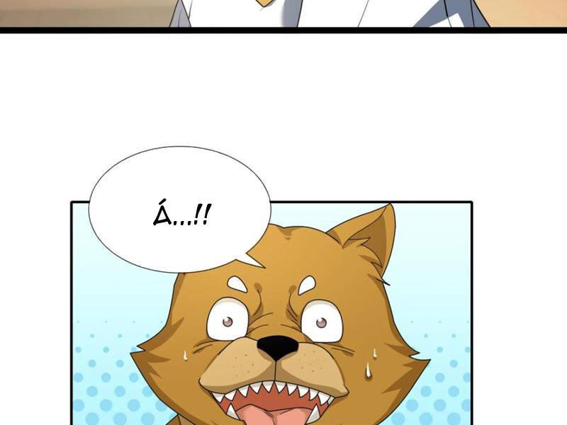 page_66