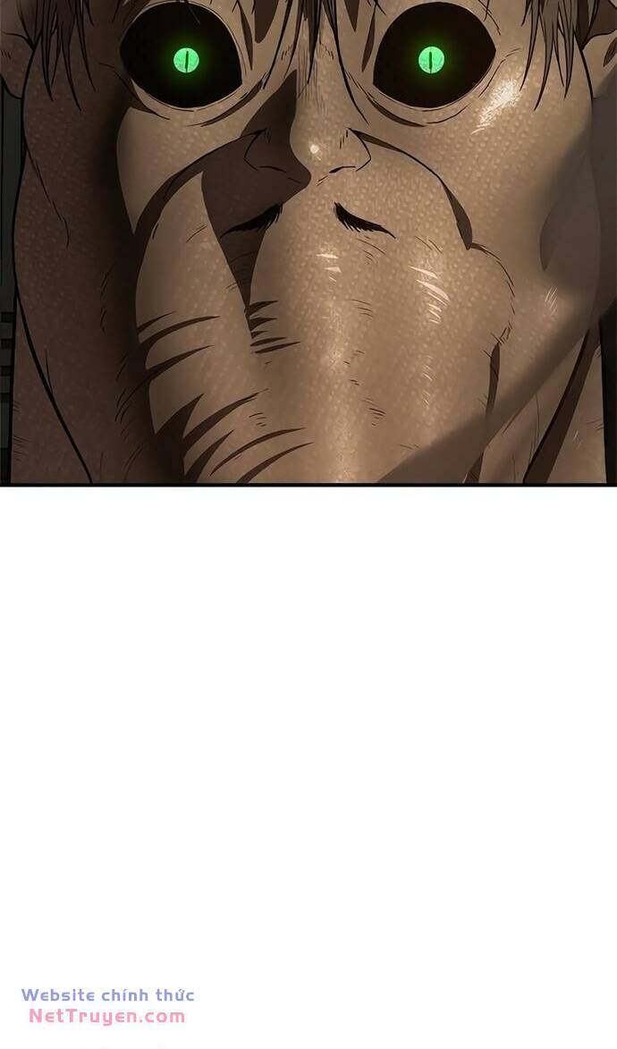 page_66