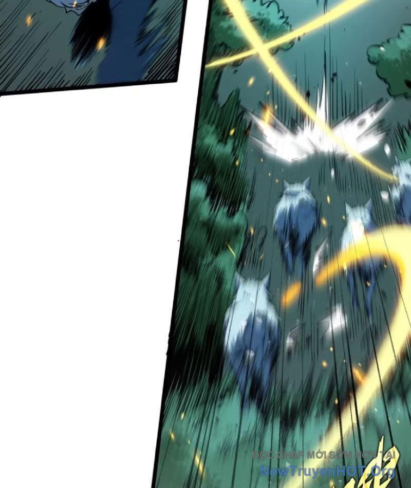 page_66