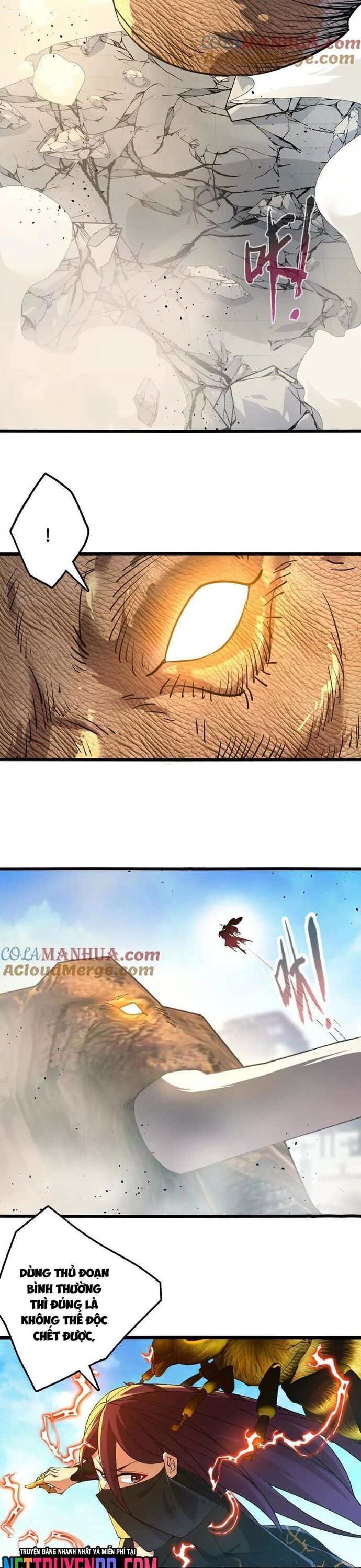 page_6
