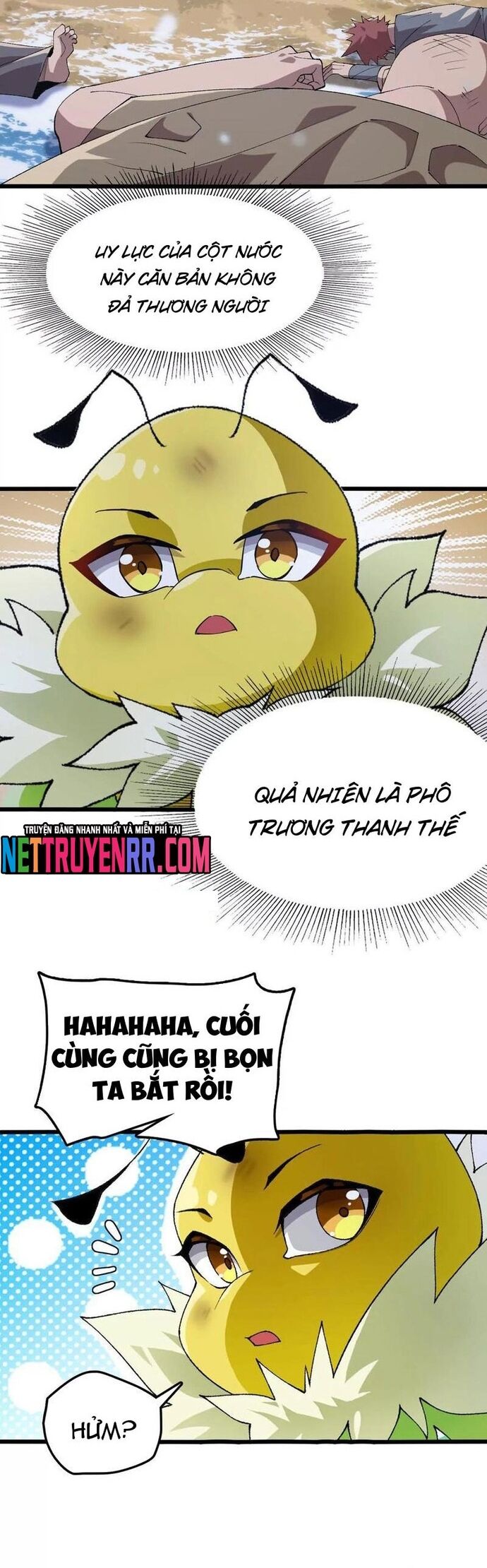 page_6