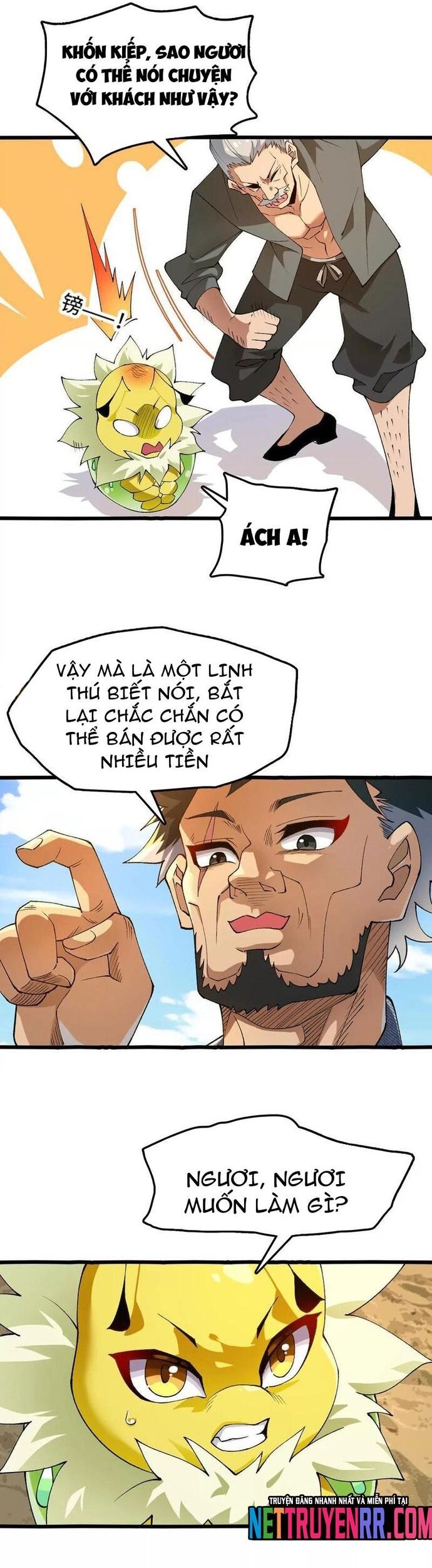 page_13