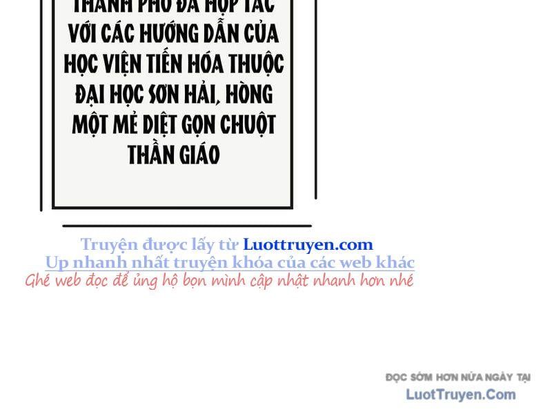 page_40