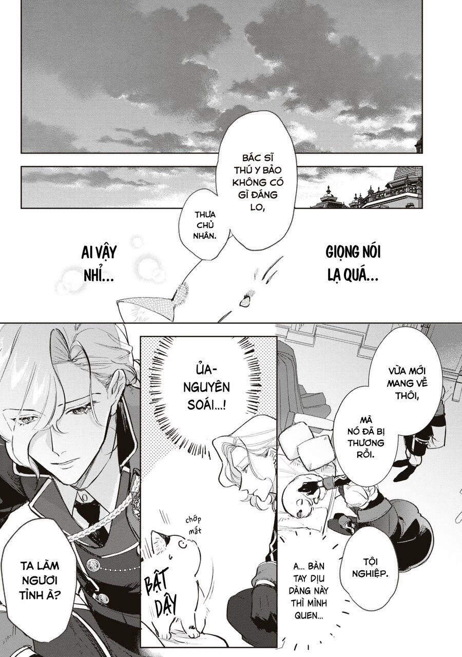 page_17