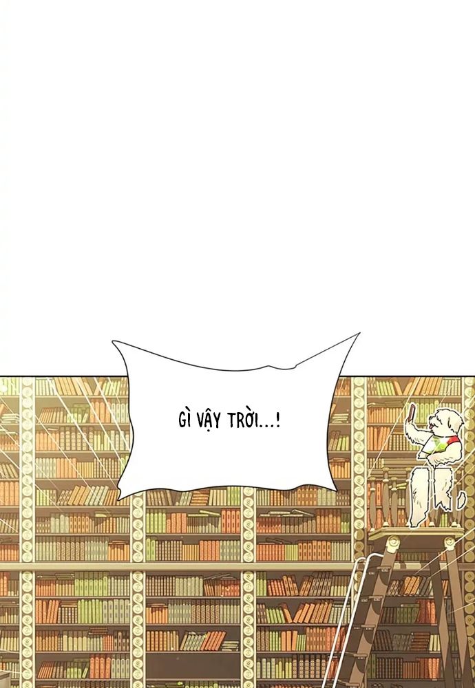 page_19