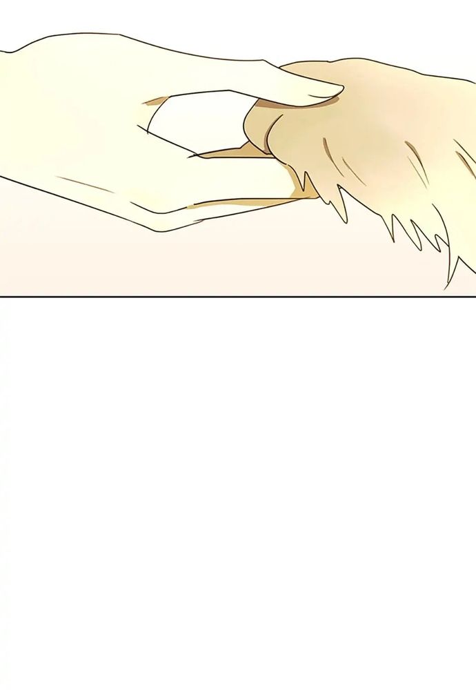 page_42