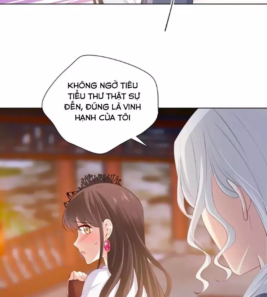page_29