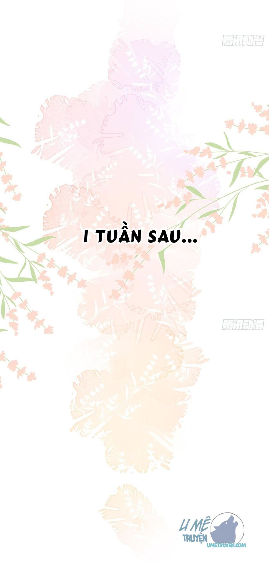 page_15