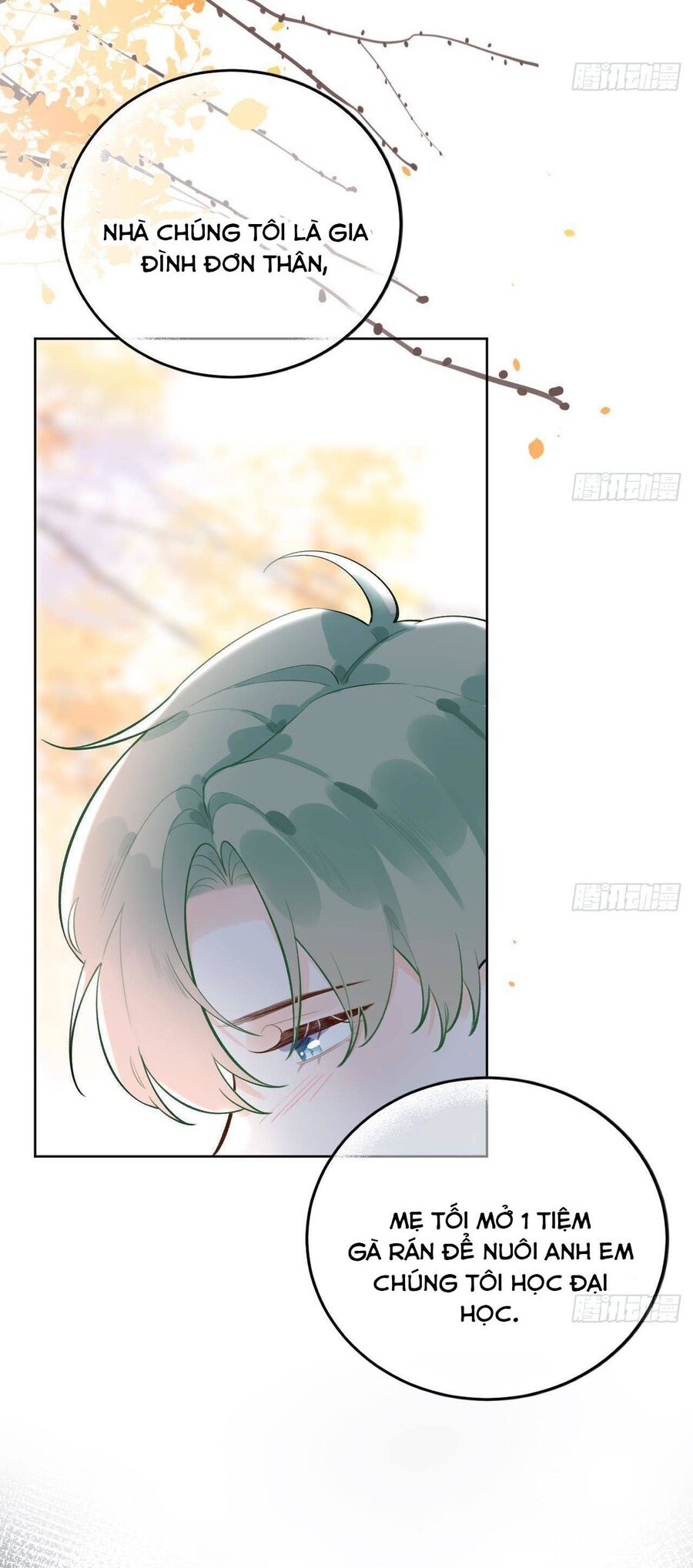 page_15