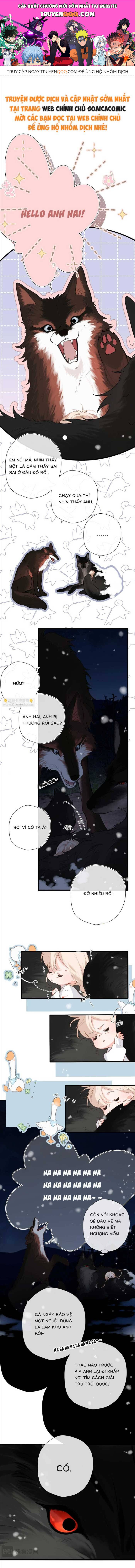page_0