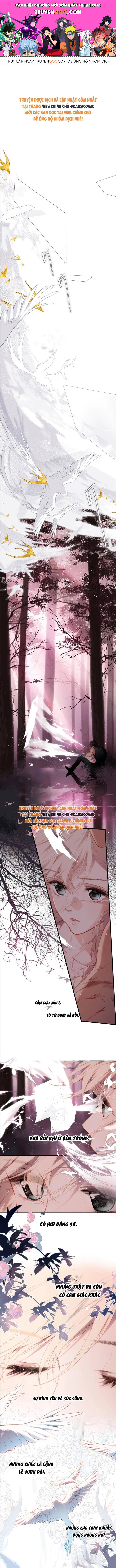 page_0