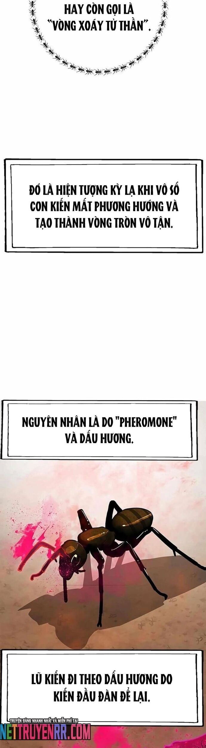 page_20