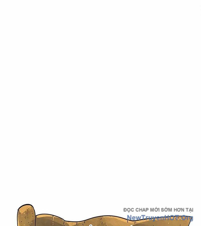 page_261