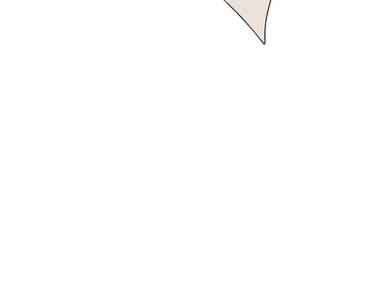 page_31