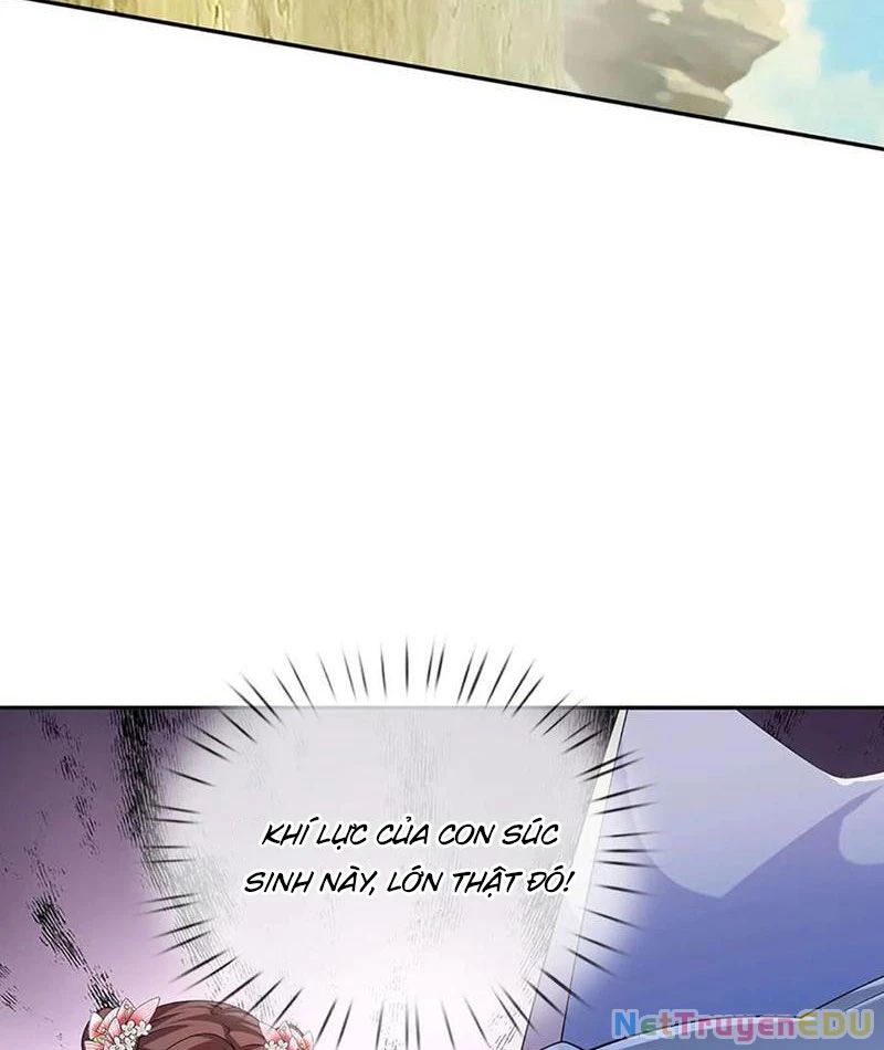 page_29